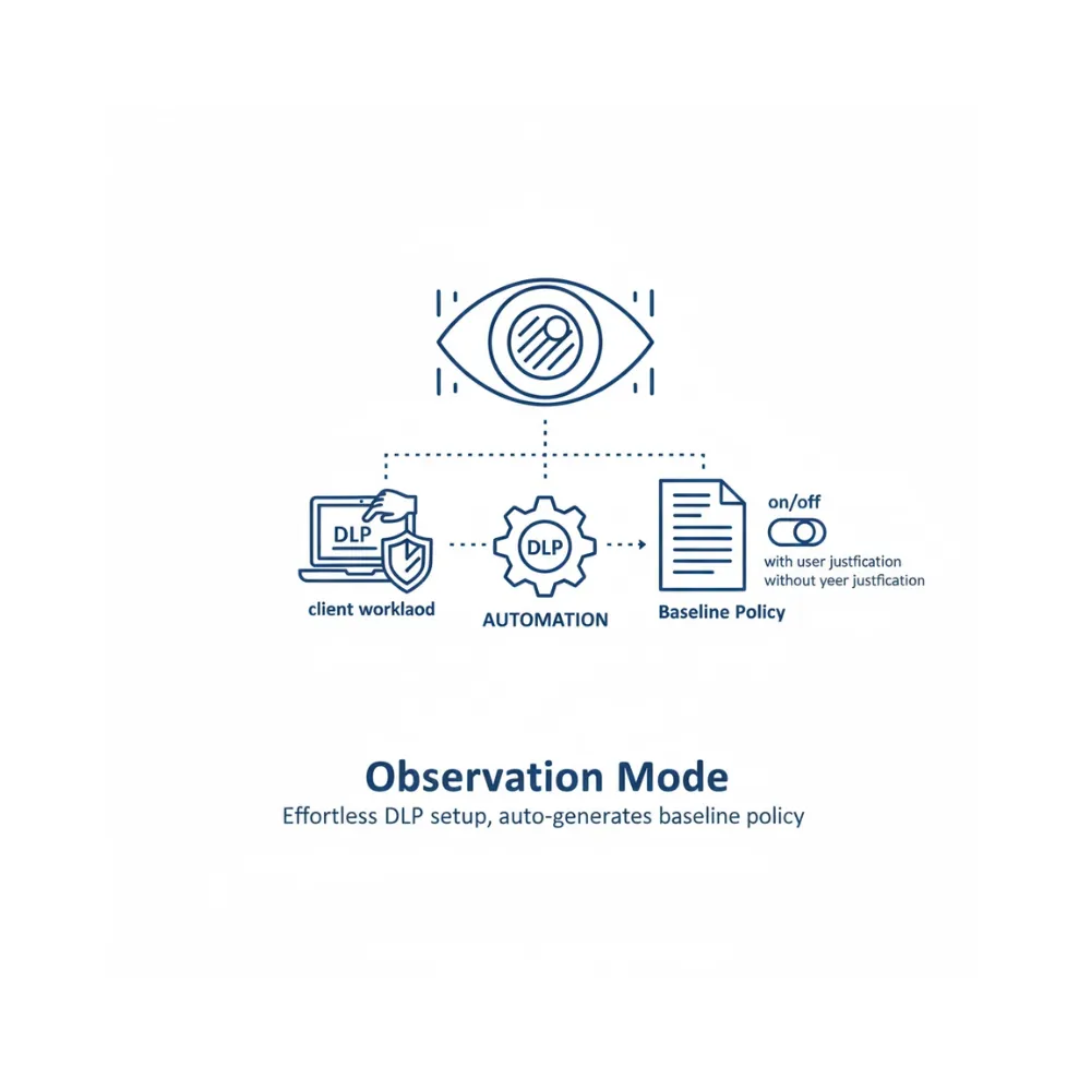 DLP (5).webp